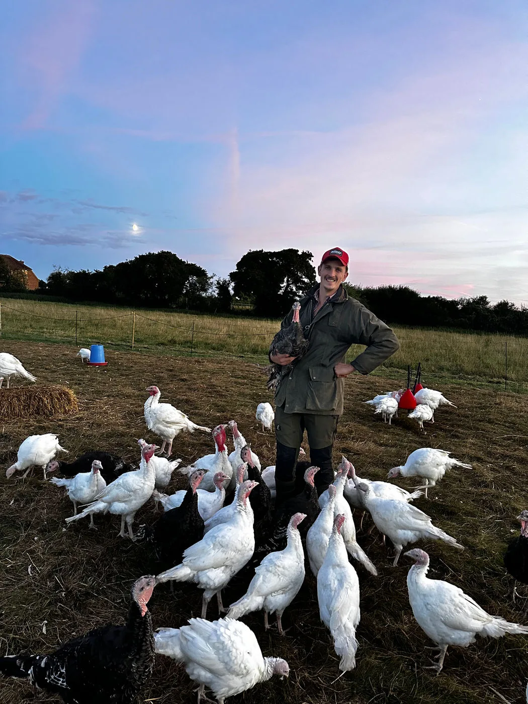 Out with the flock