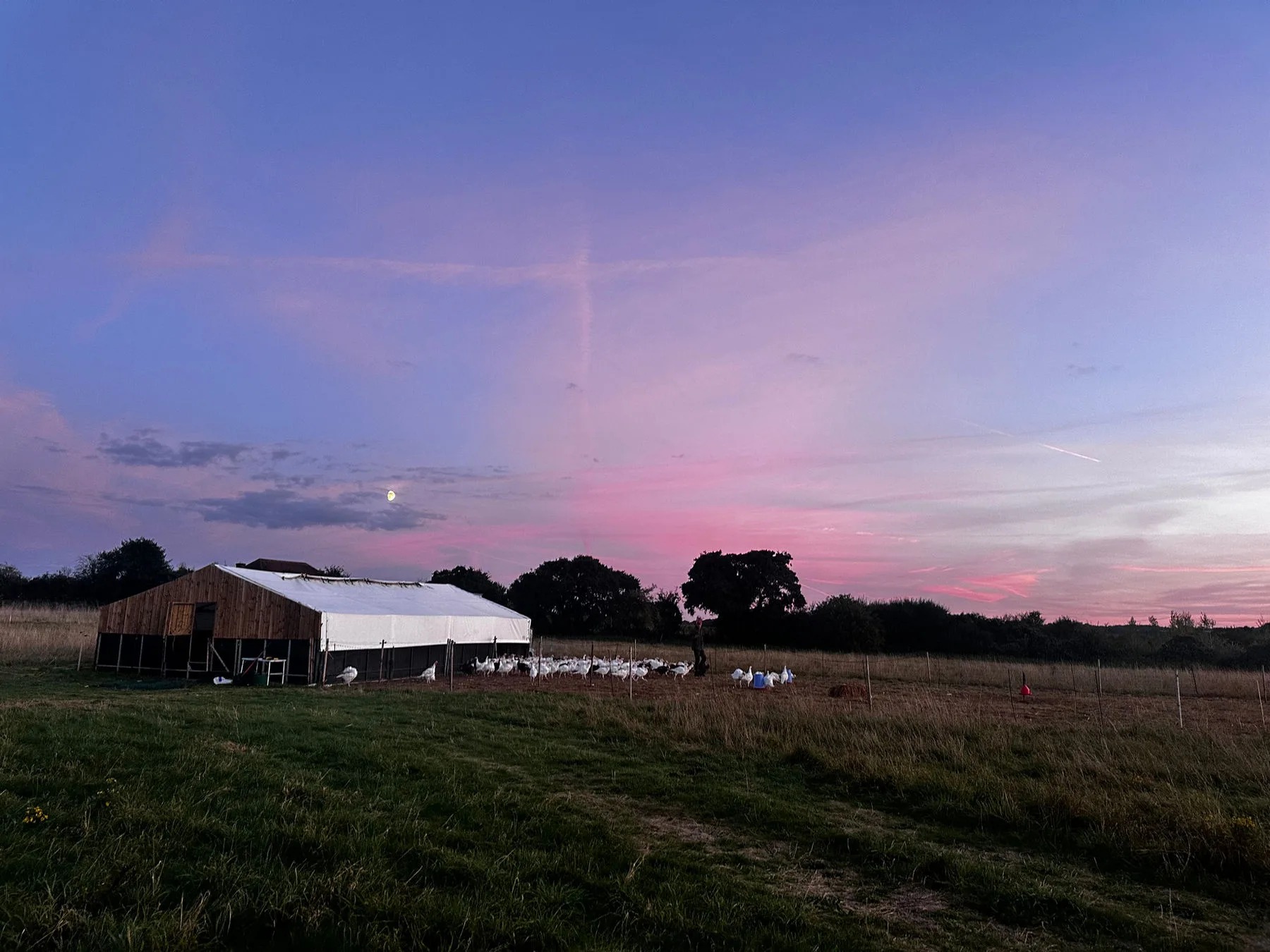 The farm buildings at dusk